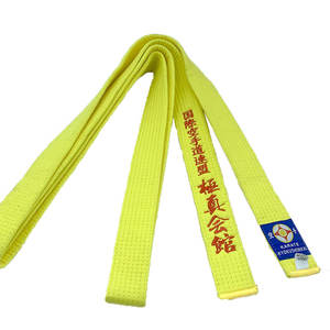 Équipement d'arts martiaux, ceinture de taekwondo/karaté pour l'entraînement, ceinture d'arts martiaux pour l'entraînement au taekwondo - Product Image 5