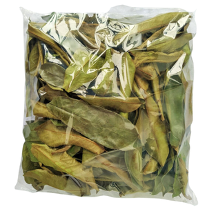 Améliorez votre expérience de thé avec notre approvisionnement en vrac de feuilles de corossol biologique, parfait pour faire du thé graviola à la maison. - Product Image 3