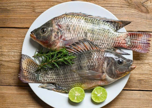 VAN BACH TUNG Pescado Crudo Congelado BQF Premium 1kg Alta Calidad Precio Alto Valor Nutricional 100% Natural Envasado al Vacío Vietnam - Product Image 3