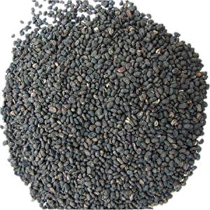 Fournisseur d'extraits végétaux, extrait de Bavchi, ingrédient botanique naturel pour les produits à base de plantes - Product Image 2