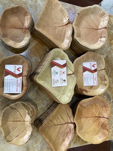 [VENTA EXITOSA] BLUE LOTUS FARM - Juego de Platos Cuadrados Modernos con Diseño Personalizado de Hojas de Palma de Areca, Vajilla Sostenible para Food Truck - Product Image 6