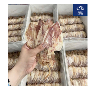 Calamar Seco de Alta Calidad, Ecológico, Superventas, Imprescindible para Sopas y Aperitivos de Mariscos, Envasado al Vacío, Estándares de la UE, Venta Directa al por Mayor - Product Image 2