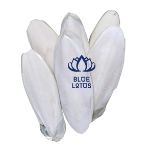 BEST SELLING Sustainable High Quality Cuttlefish Bone Pure High Calcium Mineral Food Supplement Bulk Export Supply - Product Image 1