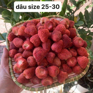 สตรอว์เบอร์รีอบแห้งแบบแช่แข็ง FD รสหวานกรอบ ผลไม้แปรรูป จำหน่ายส่งจากเวียดนาม สำหรับผู้นำเข้าขายส่ง - Product Image 2