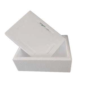 Caja de Espuma de Polietileno Expandido (EPE) de 11 Litros, 100% Reciclable y Ligera, con Tapa, para Almacenamiento y Transporte Seguro de Alimentos y Productos Médicos - Product Image 1