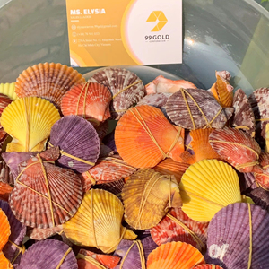 เปลือกหอยเชลล์สีสันธรรมชาติ ทำความสะอาดและขัดเงา งานฝีมือจากโรงงานเวียดนาม ขายส่งจำนวนมาก สำหรับตกแต่ง - Product Image 1