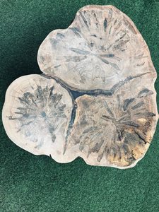 Mesa de Centro de Madera Petrificada de Resina Epoxi Hecha a Mano, Mesa Auxiliar de Tronco de Árbol Natural con Patas de Metal Tipo Horquilla, Decoración Rústica - Product Image 6