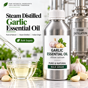 Huile essentielle naturelle d'arbre à thé (Melaleuca Alternifolia) en vrac – Fournisseur et fabricant international - Product Image 5
