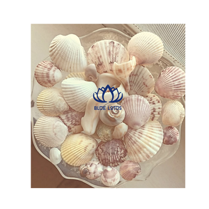ชุดเปลือกหอยธรรมชาติทำมือรักษ์โลก บลูโลตัส สีขาว ชมพู เบจ สำหรับงาน DIY ตกแต่งบ้าน และงานฝีมือ - Product Image 1