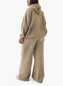 2026 New Arrival Women's Hooded Sweatshirt Set Fleece Casual Regular Fit Full Length Beige Plus Size Streetwear Autumn Wear - Product Image 5