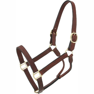 Harnais de cheval en nylon noir avec rembourrage blanc et boucles dorées pour l'équitation et l'entraînement - Product Image 2