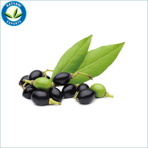 Meilleur prix 100% Pure huile essentielle de graines de baies bio soins de la peau de marque privée en gros en vrac du fournisseur du fabricant indien - Product Image 4