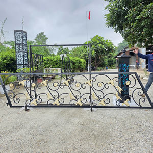 Barandillas de Hierro Decorativas Modernas para Escaleras y Balcones, Piezas Personalizadas de Hierro Forjado para Espacios Interiores y Exteriores de Villas Elegantes - Product Image 1