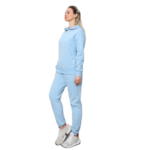 Ensemble de sweat-shirt à capuche bleu clair pour femmes, coupe régulière, coton tricoté, couleur unie, vêtements décontractés d'automne - Product Image 1