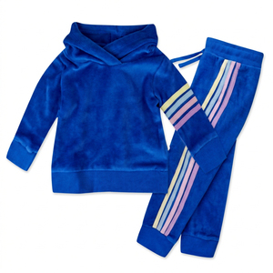 <b>Purple</b> Hooded Eco-Friendly <b>Women's</b> Vintage Lightweight <b>Tracksuit</b> Full Sleeve Solid Sweatpants Casual Spring Wear Adults Outfit - Product Image 3