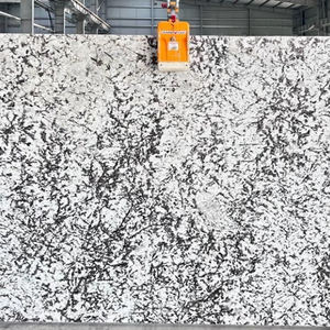 Grande dalle de granit blanc laiteux pour la décoration murale de cuisines et salles de bain, villas et hôpitaux, export en vrac Inde - Product Image 2