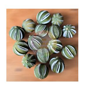 LIMÓN VERDE ENTERO SECADO (LIMA) DE VIETNAM A BUEN PRECIO, LUCKY LEMON, Sabor Cítrico, 1 kg, Empaque de Regalo, OFERTA - Product Image 6