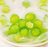 Bonbons gélifiés Lime Burst, gelée pelable avec garniture au jus sucré, vitamine C, 500g, paquet en vrac, bonbons aux fruits, prêts à manger pour les enfants