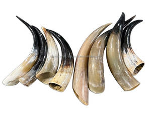 Corne à boire de qualité supérieure, artisanale, style Viking, corne naturelle décorative - Product Image 2