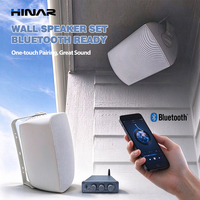 HINAR 600W 2.1 Channel Wall Speaker Set 6.5 Inch Woofer Bluetooth Amplifier Musik Latar Dalam & Luar Ruangan
