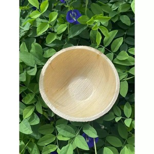 Platos Desechables Cuadrados de Hoja de Palma con Bandeja, Vajilla Moderna Ecológica para Bodas, Diseño de Hoja de Areca Natural - Macy - Product Image 5