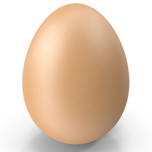 ไข่ไก่สดสีน้ำตาลและสีขาว เกรด AA คุณภาพสูง นำเข้าจากสหราชอาณาจักร - Product Image 6