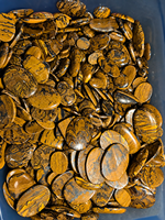 Cabochons en fer tigre naturel en gros |   Pierres précieuses polies de haute qualité de formes variées, tailles personnalisées pour la fabrication de bijoux