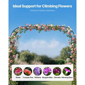 Robusto Arco per Traliccio da Esterno 94.5 X 98.5 X 15.8, Pergola in Metallo Facile da Montare, Gazebo e Padiglione - Product Image 2