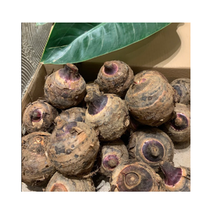 Cubos y Trozos de Taro Pelado Congelado IQF a Granel Orgánico al por Mayor con Empaque Personalizado Grado 99 Gold Data 24 Meses - Product Image 4