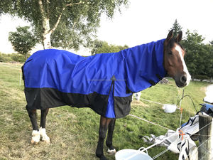 Couverture légère de participation de doublure en nylon imperméable combinée de tapis de cheval d'hiver avec des vêtements de participation de remplissage de 50gm pour des chevaux - Product Image 3