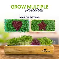 2023 Kit de jardinage d'intérieur personnalisé plateau de microgreens en plastique dégradable pour la culture de plantes hydroponiques végétales pour la pépinière