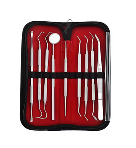 Juego de 9 Instrumentos Manuales de Acero Inoxidable para Higiene Bucal, Estuche con Herramientas Dentales para Limpieza de Dientes y Encías, Removedor de Sarro y Placa - Product Image 5