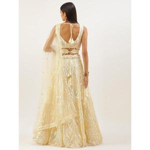 ชุดตาข่ายประดับเลื่อมสีเบจอันรุ่งโรจน์สำหรับงานรื่นเริง lehenga choli กับ dupatta - Product Image 5