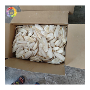 Hueso de Calamar Blanqueado Premium, Material de Alimento con Alto Contenido de Calcio para Mascotas, Alimento para Animales, Alimento para Aves, Fabricación OEM - Product Image 2