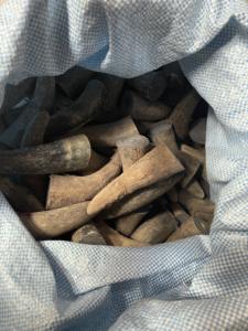 Corne de buffle naturelle polie, pointe noire naturelle, haute qualité - Product Image 5