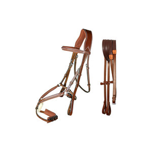 Juego de Brida Martingala de Cuero Personalizable de Alta Calidad con Correas Ajustables y Cabezalera Acolchada para Equitación - Product Image 1