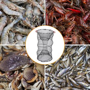 2 reti per trappole per granchi da 22x11.8 pollici per la pesca di gamberi e aragoste, gabbia a cesto per acquacoltura per l'esca e la cattura di vari animali marini - Product Image 6