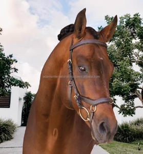 Brida de cuero de alta calidad, hecho de cuero de alta calidad con hebillas - Product Image 4