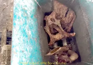 Máquina Trituradora de Huesos de Ganado de Calidad Premium, Modelo Eléctrico de Doble Eje de Alta Resistencia con Caja de Engranajes Helicoidales para Uso Industrial - Product Image 3