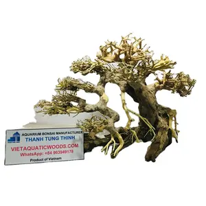 Best selling Bonsai Driftwood For Aquascape & decoration from Viet Nam WhatsApp: +84 961005832