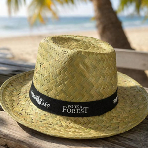 Hot Trending 2025! Natural Biodegradable Panama Straw <b>Hat</b> with Hand Embroidery Custom Logo Design Unisex Eco2go Vietnam - Product Image 1