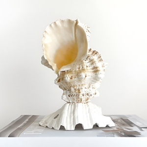 Room decor accent table lamp with clamshell base competitive price seashell <b>night</b> <b>light</b> lamps - Product Image 2