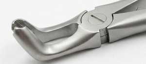 Forceps d'extraction dentaire pédiatrique en acier inoxydable certifié ISO – Instrument chirurgical manuel robuste pour l'extraction dentaire - Product Image 4
