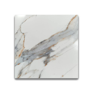 Azulejos de Cerámica Digitales Premium de 60x60cm para Pared y Suelo, Acabado Brillante, Azulejos para Interiores, Diseño Interior Moderno, Impresión Digital - Product Image 1