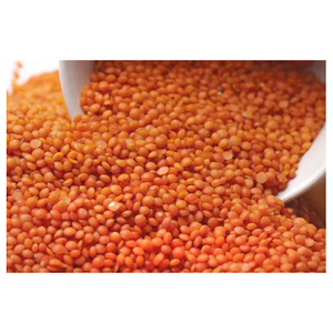 Lentilles rouges de qualité alimentaire pour les acheteurs en gros, les entreprises de transformation alimentaire et les chaînes de distribution au détail - Product Image 3
