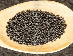 Semillas de albahaca Ocimum Basilicum Sabja Tukmaria, semillas negras saludables con textura gelatinosa similar a las semillas de chía - Product Image 2