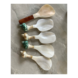 Cuillères décoratives vintage faites à la main en nacre avec manche en coquillage, courtes, de luxe, écologiques, non toxiques, pour service de desserts et usage professionnel - Product Image 1