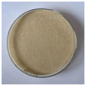 Enzima proteasa alcalina de grado alimenticio en polvo, enzima industrial de alta actividad para procesamiento de alimentos, hidrólisis de proteínas, suministro a granel - Product Image 3