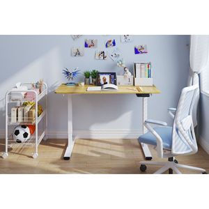 Postazione di Lavoro Elettrica per Casa e Ufficio 48 X 24 Pollici, Scrivania Regolabile in Altezza con Doppio Motore, Funzione Sit-Stand - Product Image 1