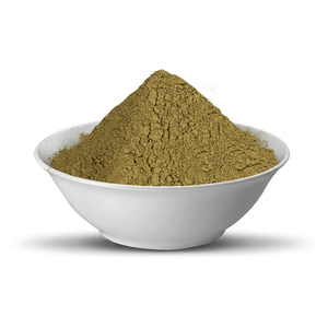 Poudre de feuilles de Brahmi 100 % naturelle séchée par pulvérisation, qualité cosmétique, fraîchement sélectionnée, procure une nutrition profonde au cuir chevelu - Product Image 4